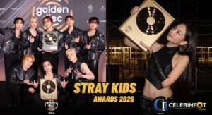 Stray Kids Awards